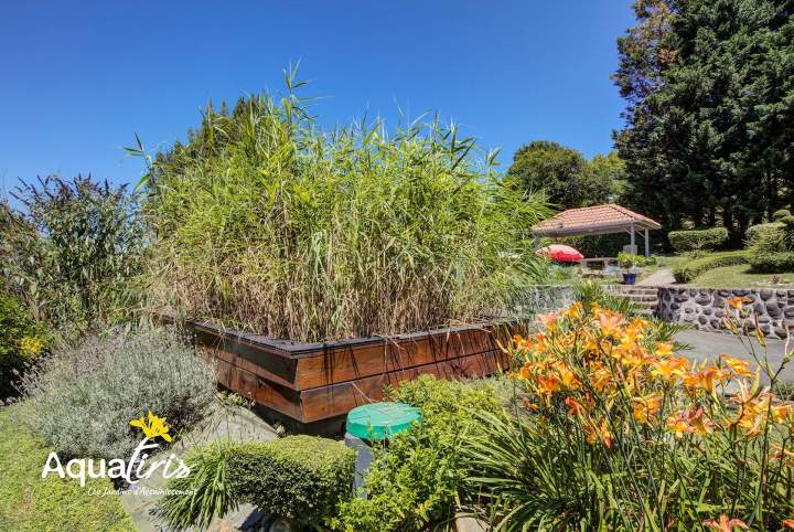 Système de phytoépuration effiace Montilliers